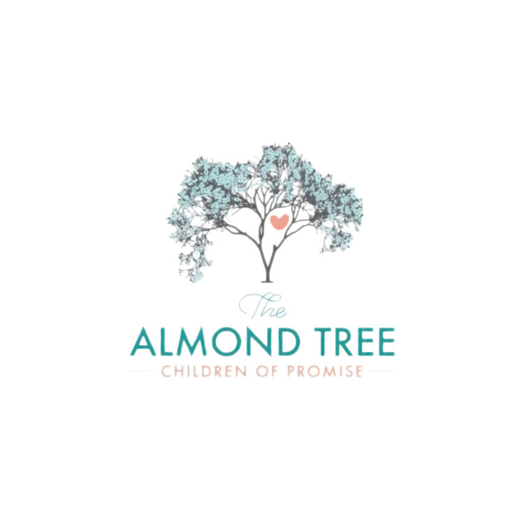 The Almond Tree